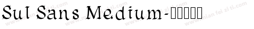 Sul Sans Medium字体转换